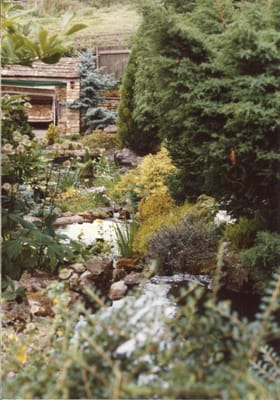 img311.jpg