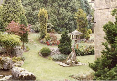 img312.jpg