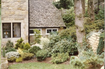 img313.jpg