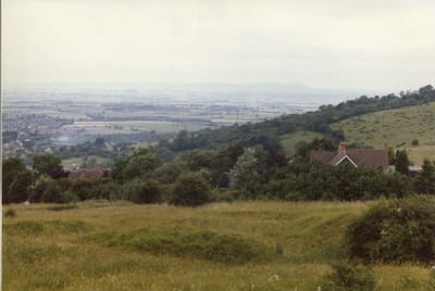 img317.jpg