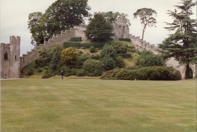 img325.jpg