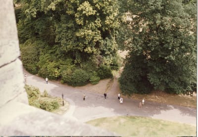 img328.jpg