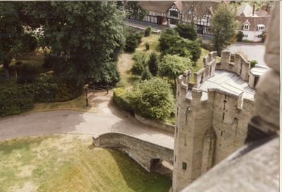 img330.jpg