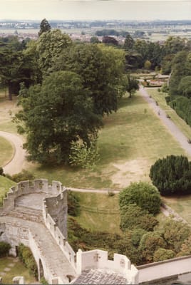 img333.jpg