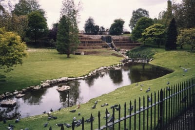 img018.jpg