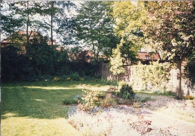 img019.jpg