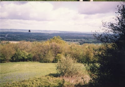 img023.jpg