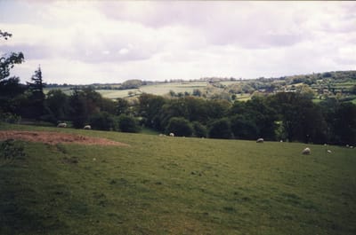 img025.jpg