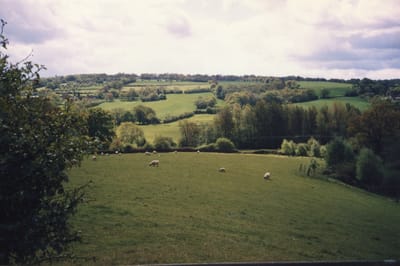 img026.jpg