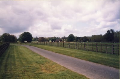 img046.jpg