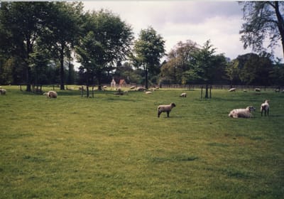 img048.jpg