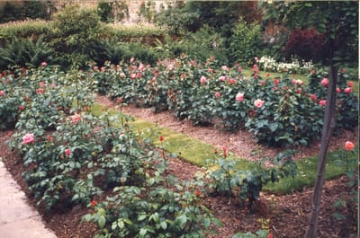 img062.jpg