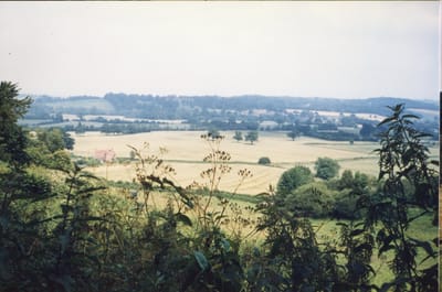 img082.jpg
