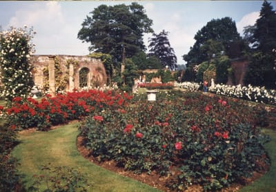img088.jpg