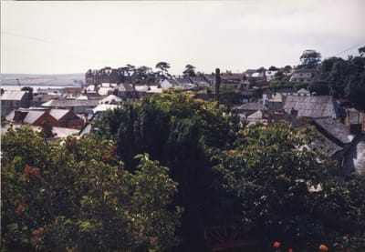 img100.jpg