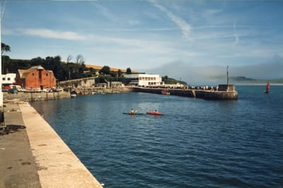 img110.jpg