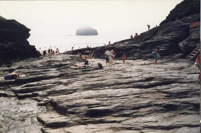 img122.jpg
