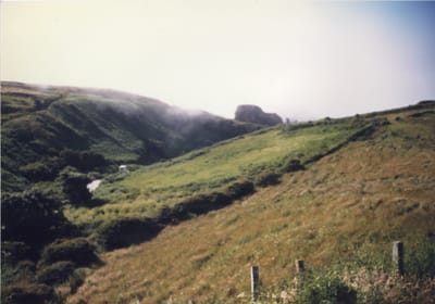 img125.jpg