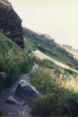 img127.jpg