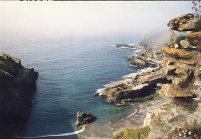 img132.jpg