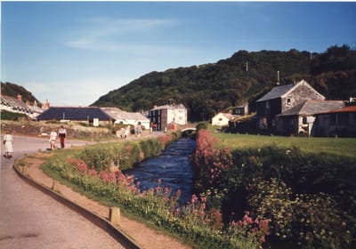 img141.jpg