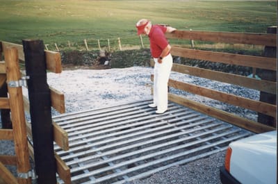img154.jpg