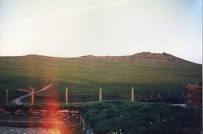 img155.jpg