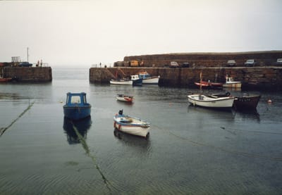 img168.jpg