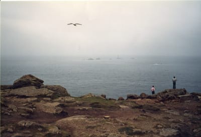 img173.jpg