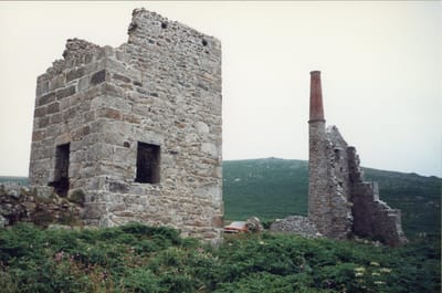 img194.jpg