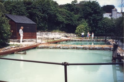 img202.jpg