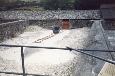 img203.jpg