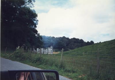 img217.jpg