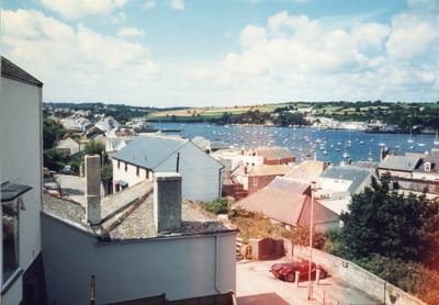 img225.jpg