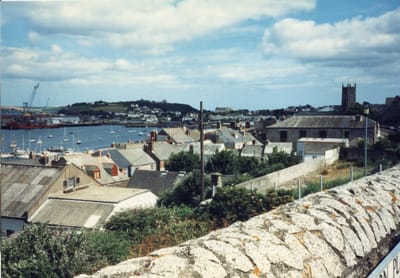 img229.jpg