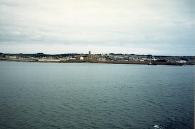 img238.jpg