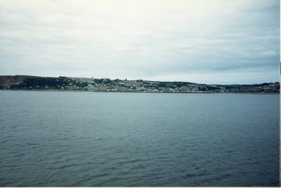 img239.jpg