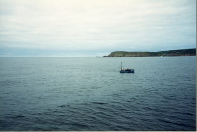 img243.jpg