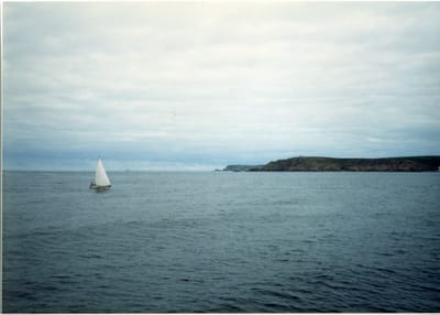 img244.jpg