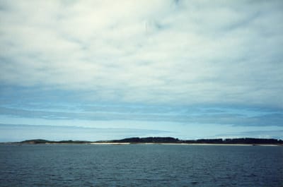 img246.jpg