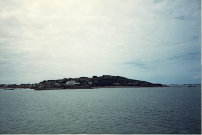 img247.jpg