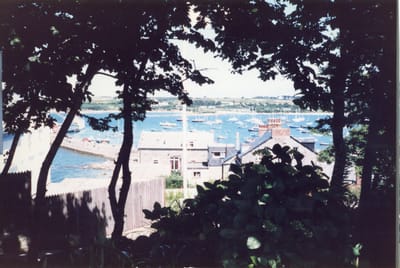 img251.jpg