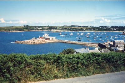 img254.jpg