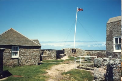 img255.jpg
