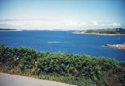 img257.jpg