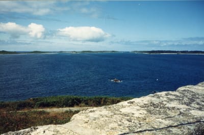 img258.jpg