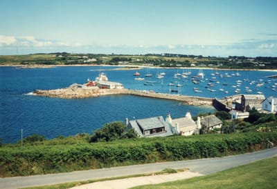 img261.jpg