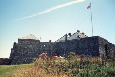 img263.jpg