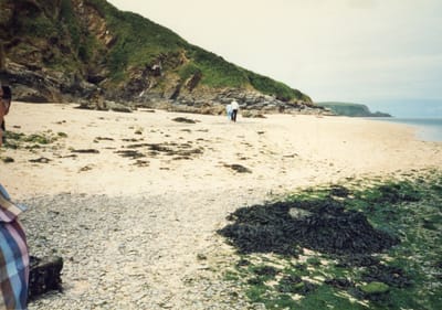 img280.jpg