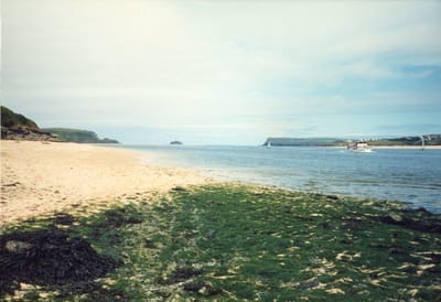 img281.jpg